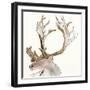 Gilded Caribou II-Chris Paschke-Framed Art Print