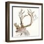 Gilded Caribou II-Chris Paschke-Framed Art Print