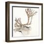 Gilded Caribou-Chris Paschke-Framed Art Print