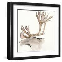 Gilded Caribou-Chris Paschke-Framed Art Print