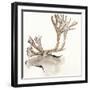 Gilded Caribou-Chris Paschke-Framed Art Print