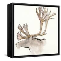 Gilded Caribou-Chris Paschke-Framed Stretched Canvas