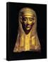 Gilded Cartonnage Mummy Mask-null-Framed Stretched Canvas