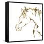 Gilded Cowpony On White-Chris Paschke-Framed Stretched Canvas