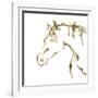 Gilded Cowpony On White-Chris Paschke-Framed Art Print