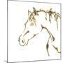 Gilded Cowpony On White-Chris Paschke-Mounted Art Print