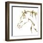 Gilded Cowpony On White-Chris Paschke-Framed Art Print