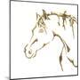 Gilded Cowpony On White-Chris Paschke-Mounted Art Print