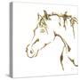 Gilded Cowpony On White-Chris Paschke-Stretched Canvas