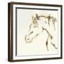 Gilded Cowpony-Chris Paschke-Framed Art Print