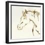 Gilded Cowpony-Chris Paschke-Framed Art Print