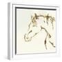 Gilded Cowpony-Chris Paschke-Framed Art Print