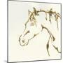 Gilded Cowpony-Chris Paschke-Mounted Art Print