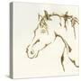 Gilded Cowpony-Chris Paschke-Stretched Canvas