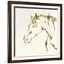 Gilded Cowpony-Chris Paschke-Framed Art Print