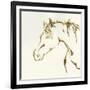 Gilded Cowpony-Chris Paschke-Framed Art Print