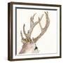 Gilded Deer-Chris Paschke-Framed Art Print