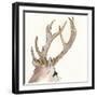 Gilded Deer-Chris Paschke-Framed Art Print