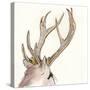 Gilded Deer-Chris Paschke-Stretched Canvas