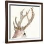 Gilded Deer-Chris Paschke-Framed Art Print