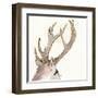 Gilded Deer-Chris Paschke-Framed Art Print