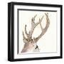 Gilded Deer-Chris Paschke-Framed Art Print