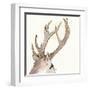 Gilded Deer-Chris Paschke-Framed Art Print