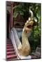 Gilded Dragon Outside Wat Phra Kaew Temple-Stuart Black-Mounted Photographic Print