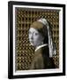 Gilded Earring (after Jan Vermeer)-Eccentric Accents-Framed Giclee Print