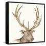 Gilded Elk-Chris Paschke-Framed Stretched Canvas
