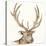Gilded Elk-Chris Paschke-Stretched Canvas