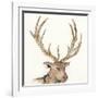 Gilded Elk-Chris Paschke-Framed Art Print