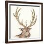 Gilded Elk-Chris Paschke-Framed Art Print