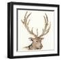 Gilded Elk-Chris Paschke-Framed Art Print