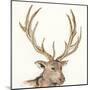 Gilded Elk-Chris Paschke-Mounted Art Print