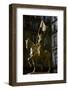 Gilded equestrian statue of St Joan of Arc, 19th century-Emmanuel Fremiet-Framed Photographic Print