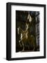 Gilded equestrian statue of St Joan of Arc, 19th century-Emmanuel Fremiet-Framed Photographic Print