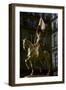 Gilded equestrian statue of St Joan of Arc, 19th century-Emmanuel Fremiet-Framed Photographic Print