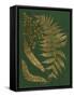 Gilded Ferns I-Vision Studio-Framed Stretched Canvas