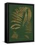 Gilded Ferns III-Vision Studio-Framed Stretched Canvas