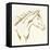 Gilded Filly-Chris Paschke-Framed Stretched Canvas