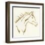 Gilded Filly-Chris Paschke-Framed Art Print