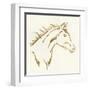 Gilded Filly-Chris Paschke-Framed Art Print