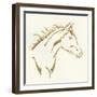 Gilded Filly-Chris Paschke-Framed Art Print