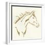 Gilded Filly-Chris Paschke-Framed Art Print