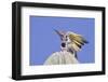 Gilded Flicker Taking Off-Hal Beral-Framed Photographic Print