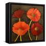 Gilded Floral I-Josefina-Framed Stretched Canvas