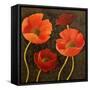 Gilded Floral II-Josefina-Framed Stretched Canvas