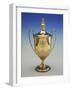 Gilded George III Style Silver Cup with Cover-Paul Vredeman de Vries-Framed Giclee Print