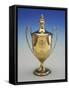 Gilded George III Style Silver Cup with Cover-Paul Vredeman de Vries-Framed Stretched Canvas